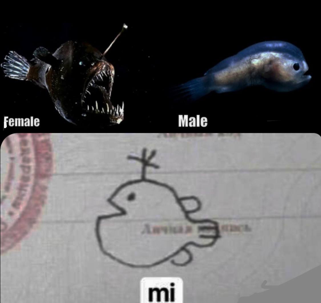 Female Male