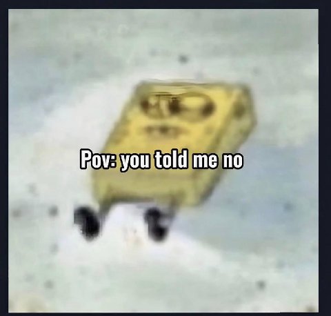 Pov: you told me no