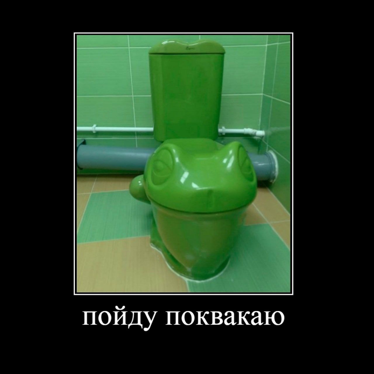 пойду поквакаю