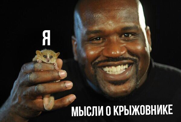 МЫСЛИ 0 КРЫЖОВНИКЕ