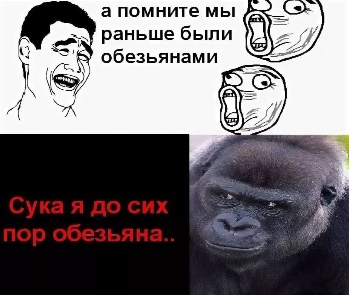 а помните мы раньше были обезьянами