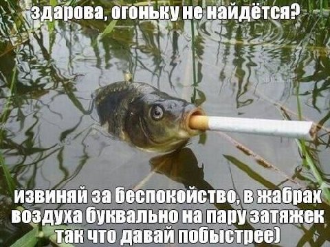 огоньку не найдётся? извиняй за беспокойство, в жабрах воздуха буквально на пару затяжек так что давай побыстрее)