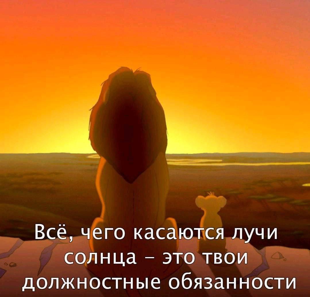 Всё, чего касаются лучи солнца это твои должностные обязанности