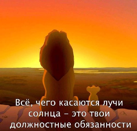 Всё, чего касаются лучи солнца это твои должностные обязанности