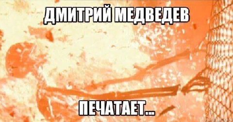 МЕДВЕДЕВ 2