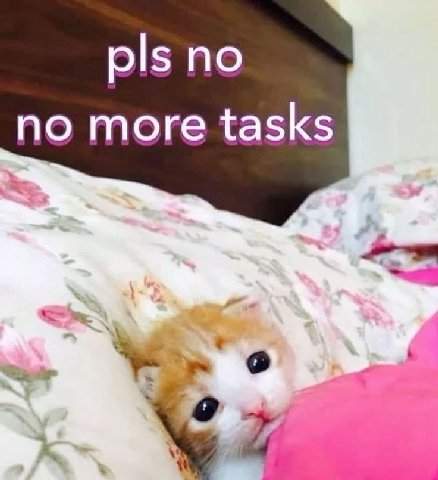 pls no no more tasks