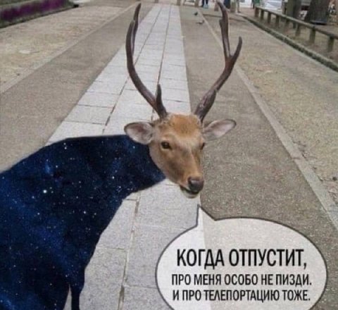 КОГДА ОТПУСТИТ, ПРО МЕНЯ ОСОБО НЕ ПИЗДИ. ИПРО ТЕЛЕПОРТАЦИЮ ТОЖЕ.