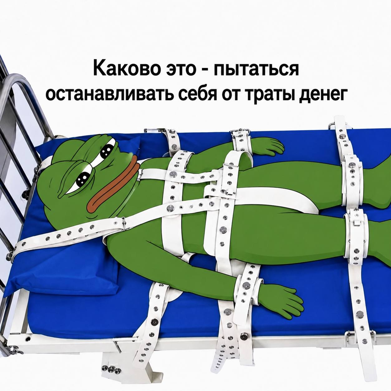 Каково это пытаться останавливать себя от траты денег 1 of