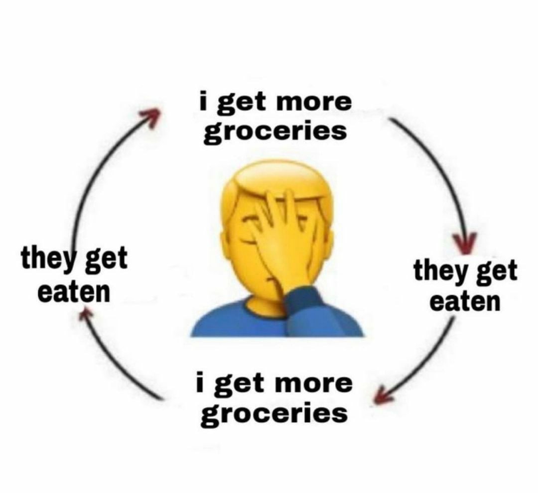 i get more groceries they get eaten i get more groceries