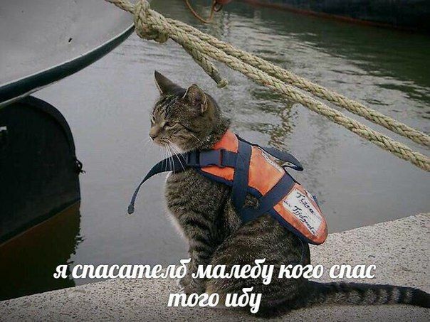 яспасателб кого спас того иду