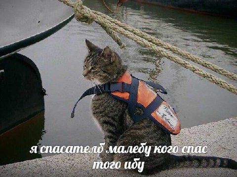 яспасателб кого спас того иду