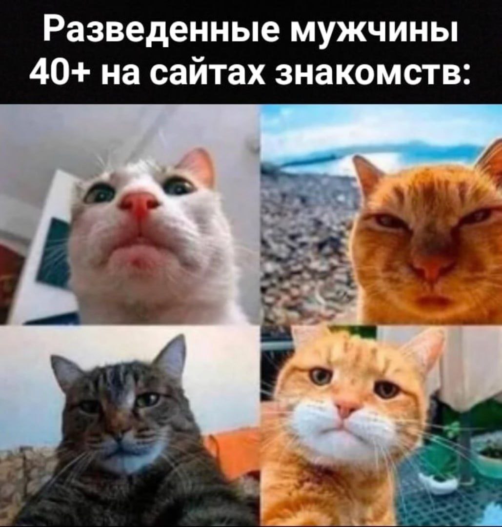 Разведенные мужчины 40+ на сайтах знакомств: