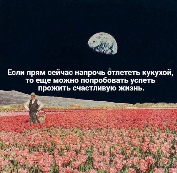 Если прям сеичас напрочь отлететь кукухои, то еще можно попробовать успеть прожить счастливую жизнь. у