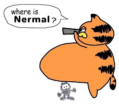 where is Nermal 2