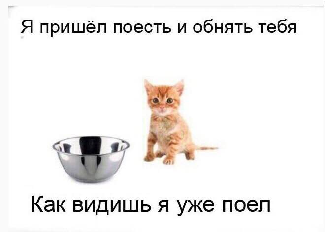 Я пришёл поесть и обнять тебя Как видишь я уже поел
