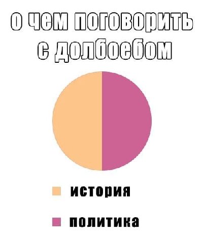 история политика