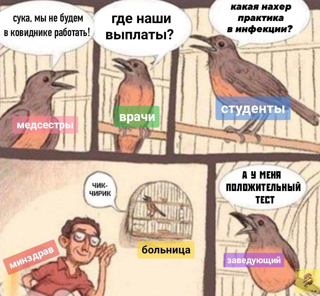 какая нахер сука, мы He где наши практика в ковиднике в выплаты? ден врачи МЕНЯ ПОЛОЖИТЕЛЬНЫЙ ТЕСТ больница