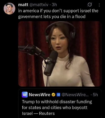 matt @mattxiv in america if you don’t support israel the government lets you die in a flood NewsWire @NewsWire... Trump to withhold disaster funding for states and cities who boycott Israel Reuters