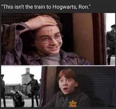 "This isn't the train to Hogwarts, Ron."