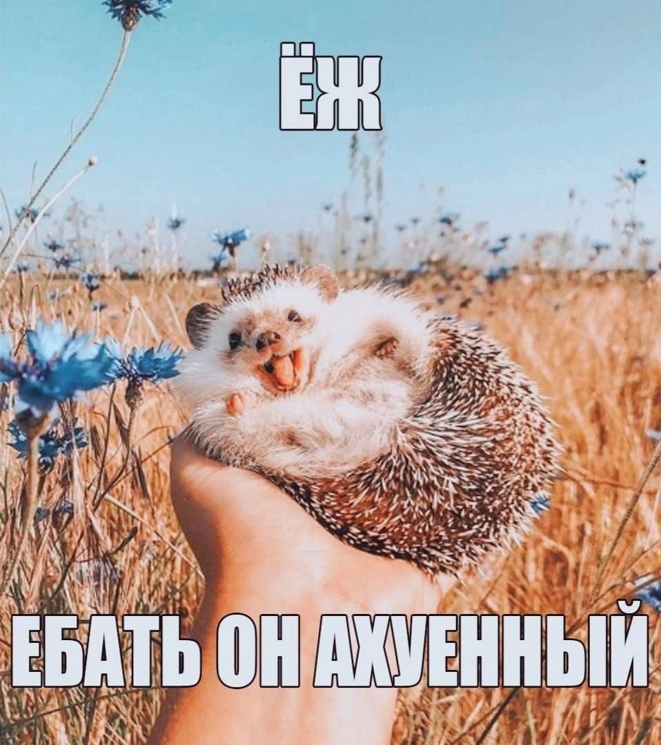 А: We у БОН AKY