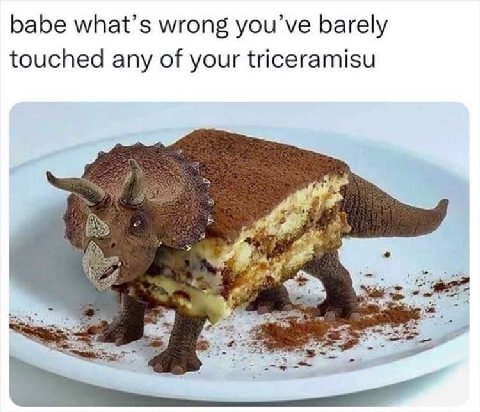 babe what’s wrong you’ve barely touched any of your triceramisu