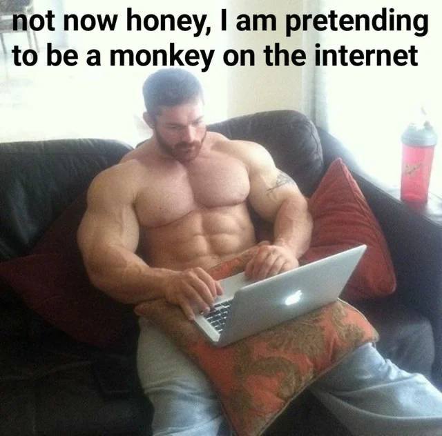 “hot now honey, pretending to be a monkey on the internet