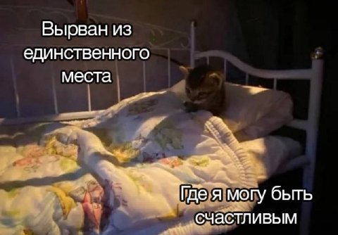 Вырван из единственного места быть счастливым