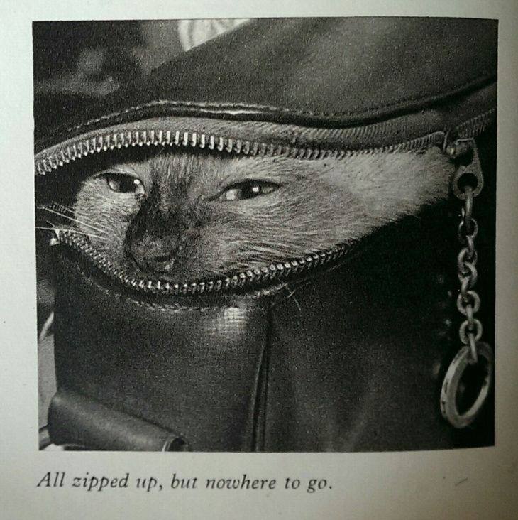 All zipped up, but