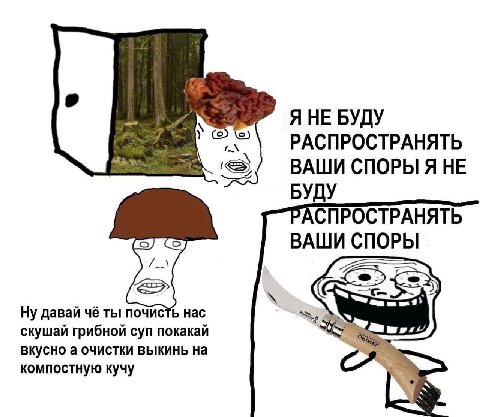 Я НЕ БУДУ РАСПРОСТРАНЯТЬ ВАШИ СПОРЫ Я HE БУДУ СПРОСТРАНЯТЬ ВАШИ СПОРЫ Ну давай чё ты почисть Hac скушай грибной суп покакай вкусно а очистки выкинь на компостную кучу