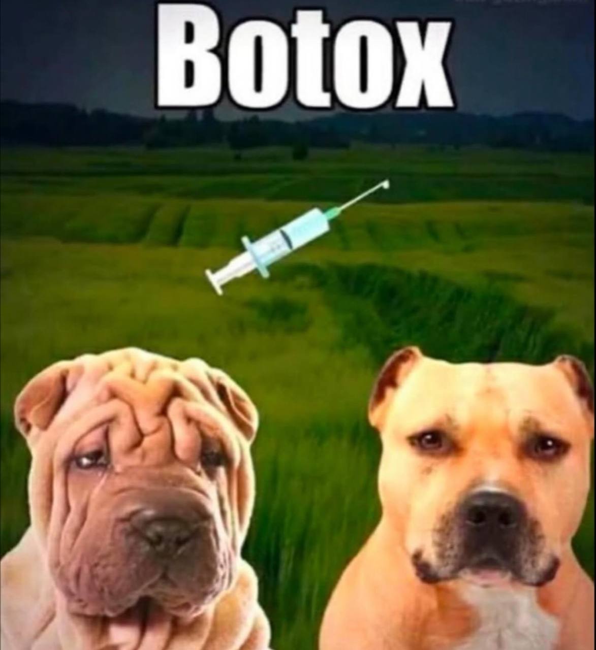 Botox