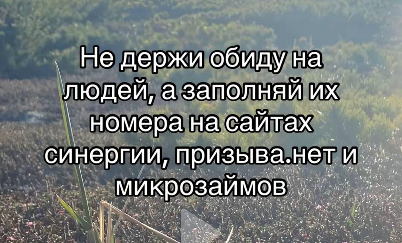 Не держи обиду на людеи, а заполняи номера на сайтах` синергии, призыва. нет и