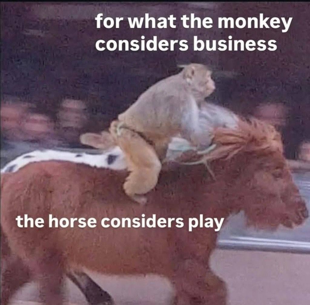 for what the monkey considers business the horse considers play