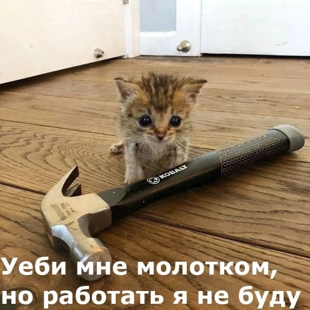 а Уеби мне молотком, но работать я не буду