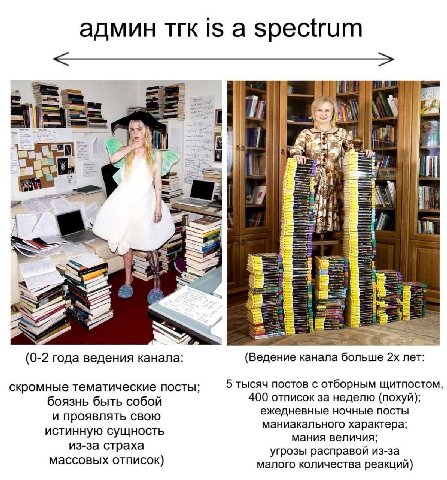 админ тгк is a spectrum "И I a BE, (Ведение канала больше лет: (0-2 года ведения канала: скромные тематические посты; 5 тысяч постов с отборным щитпостом боязнь быть собой 400 отписок за неделю (похуй