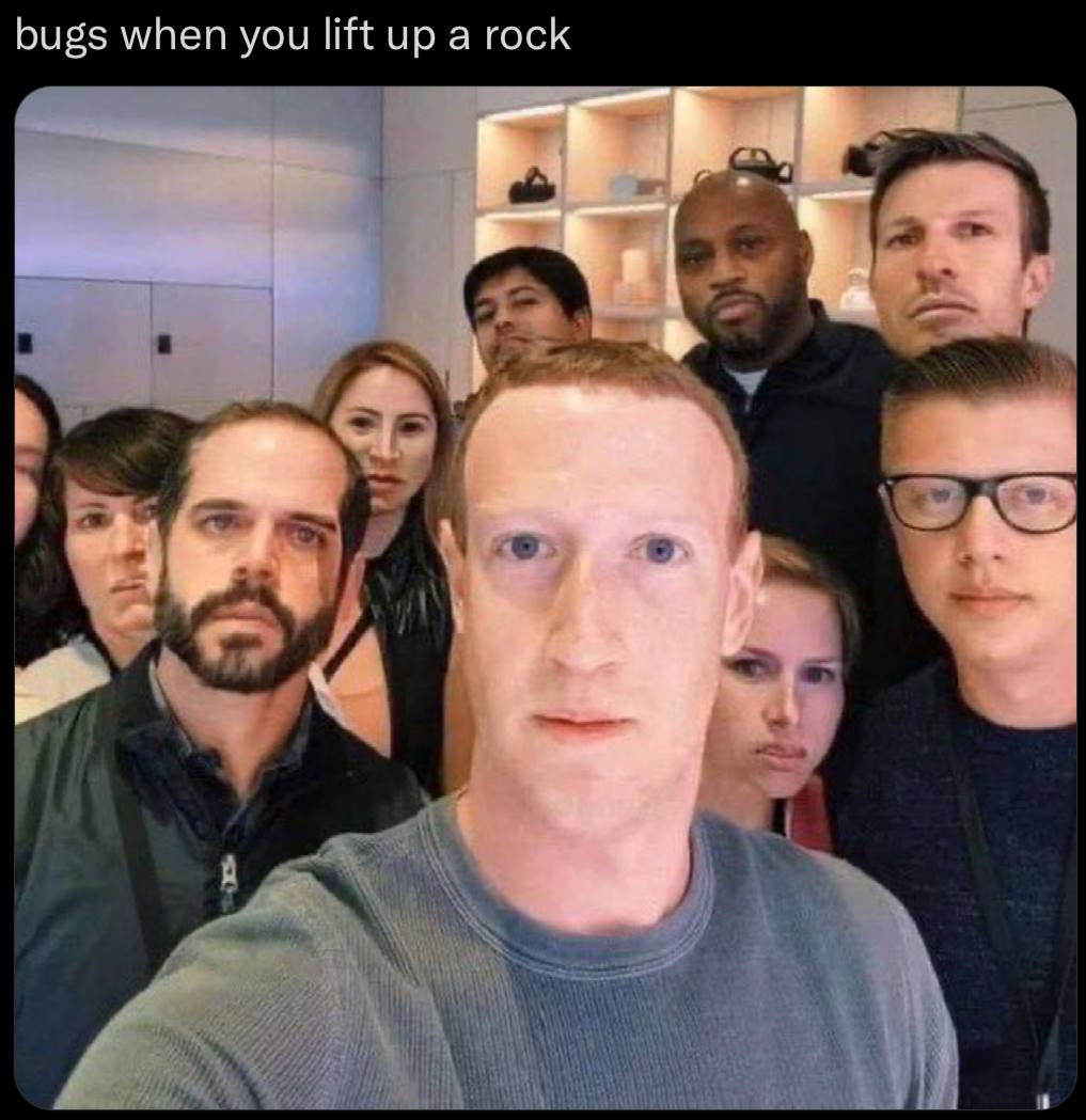 bugs when you lift up a rock