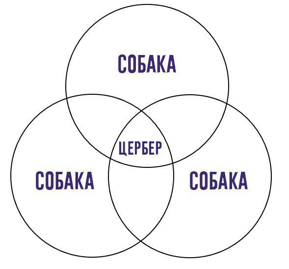 СОБАКА СОБАКА СОБАКА
