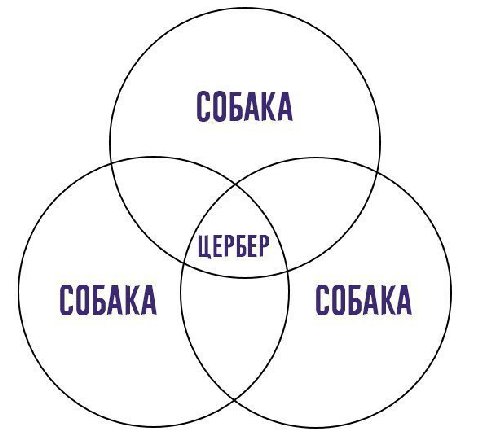 СОБАКА СОБАКА СОБАКА