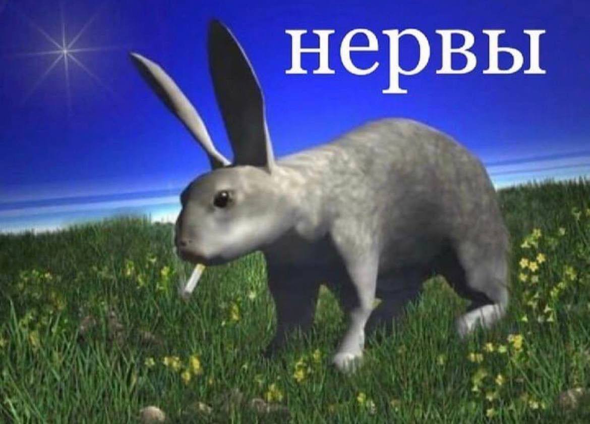 Я чувствую