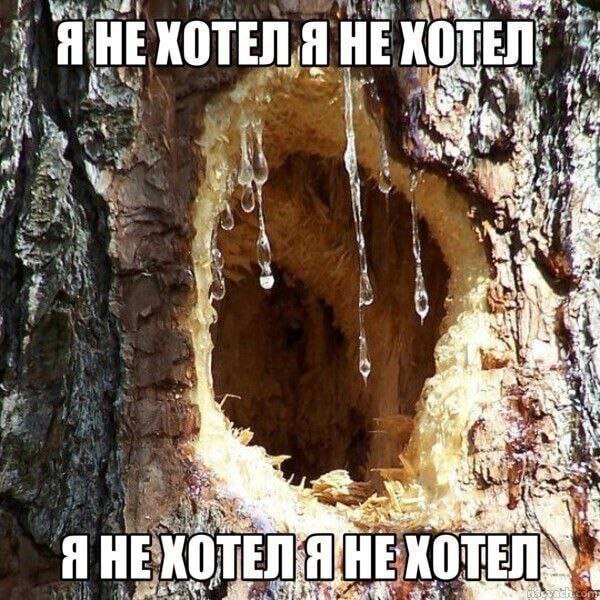 HE КОТЕЛЯ HE 3 Я HE