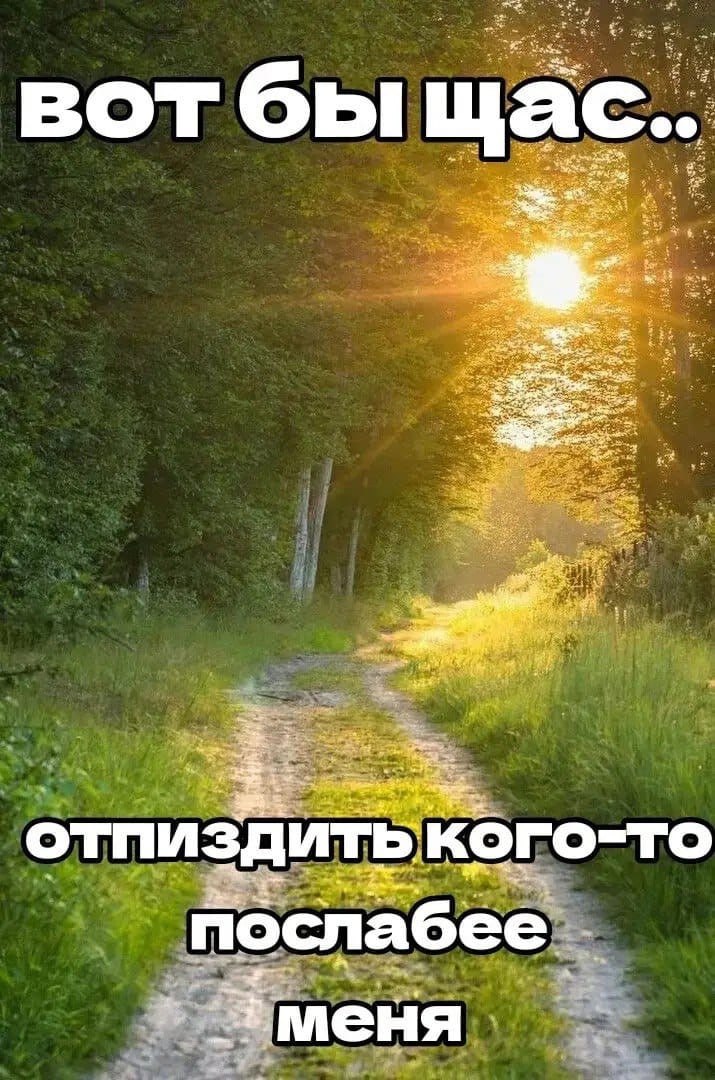 BOT бы щас.. отпиздить кого-то послабее