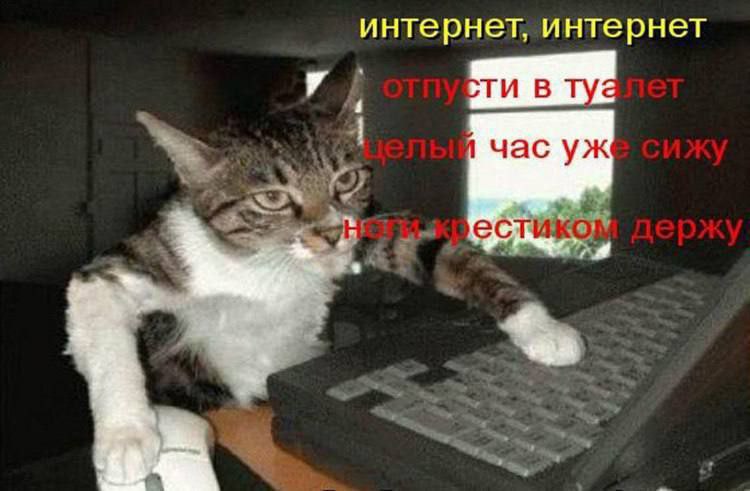 интернет, интернет час Wan естико
