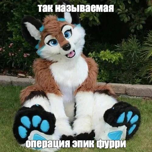 Tak называемая операция эпик фурри