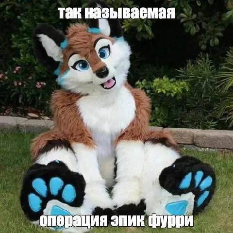 Tak называемая операция эпик фурри