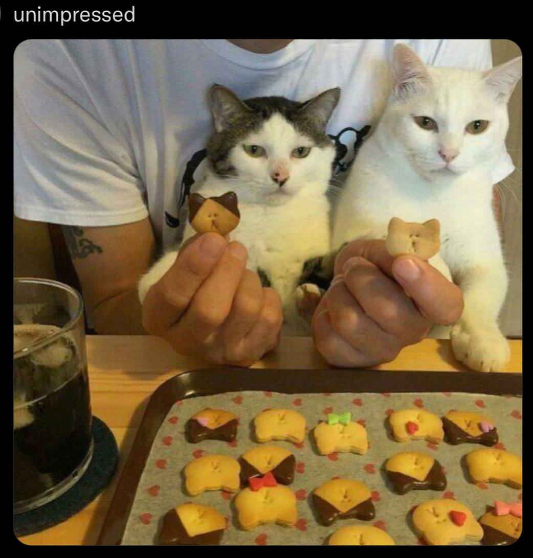 unimpressed
