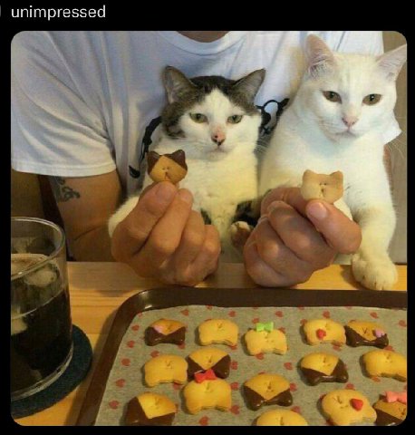 unimpressed