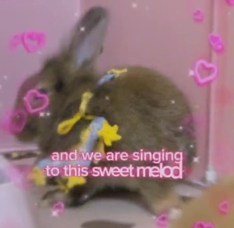 {6 this sweet melod: