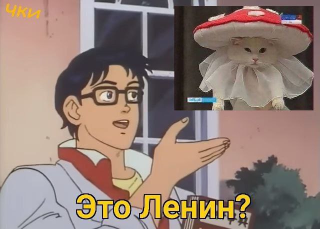 HAH