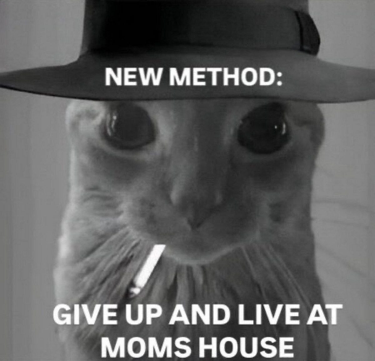 NEW METHOD: GIVE UP AND LIVE AT MOMS HOUSE