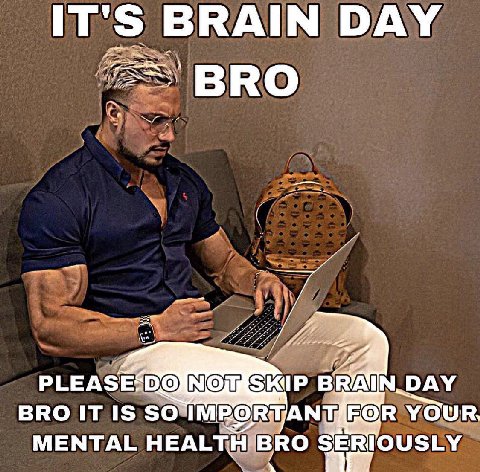 IT'S BRAIN DAY BRO NOES N.DAY BRO IT IS SO БОВ YOUR MENTAL HEALTH BRO SERIOUSLY