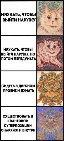 МЯУКАТЬ, ЧТОБЫ ВЫЙТИ НАРУЖУ i/ МЯУКАТЬ, ЧТОБЫ ВЫЙТИ НАРУЖУ, ПОТОМ ПЕРЕДУМАТЬ СИДЕТЬ В ДВЕРНОМ ПРОЕМЕИ ДУМАТЬ СУЩЕСТВОВАТЬ В КВАНТОВОЙ СУПЕРПОЗИЦИИ НАРУЖИ И ВНУТРИ